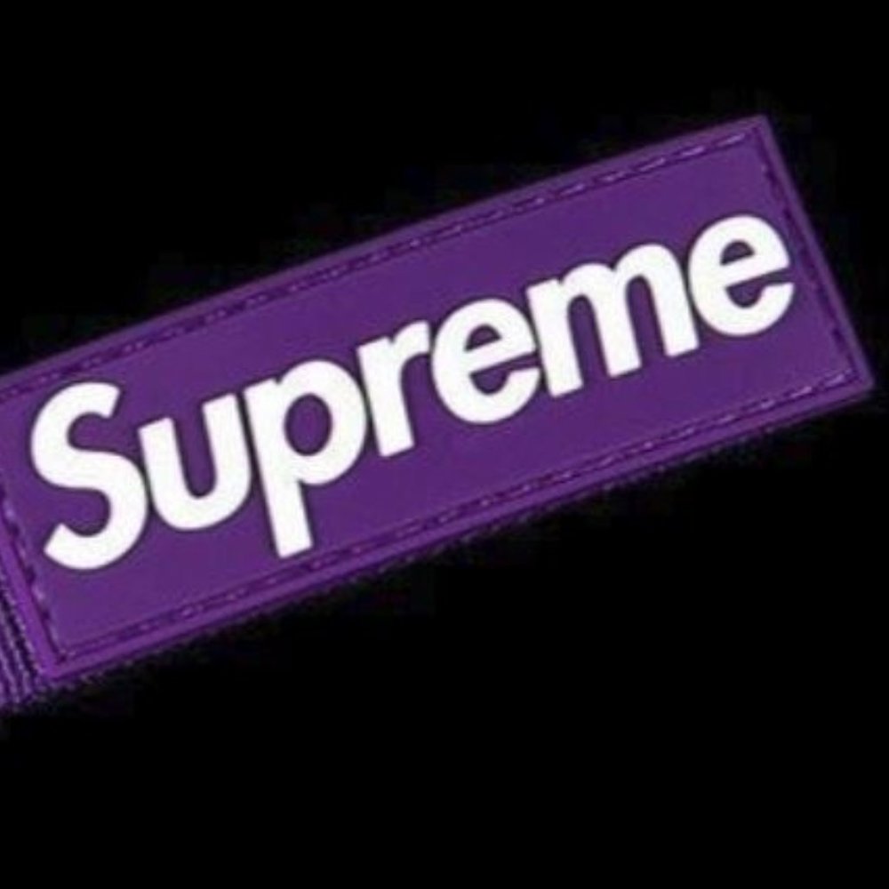 SUPREME Purple Webbing Keychain Box Logo SS FW 20